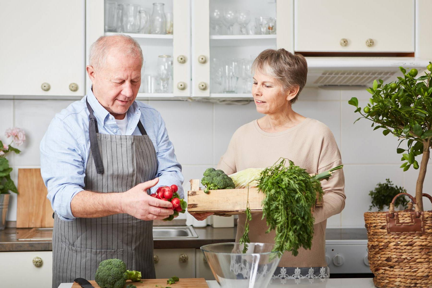 Seniors and Nutrition How Needs Change With Age